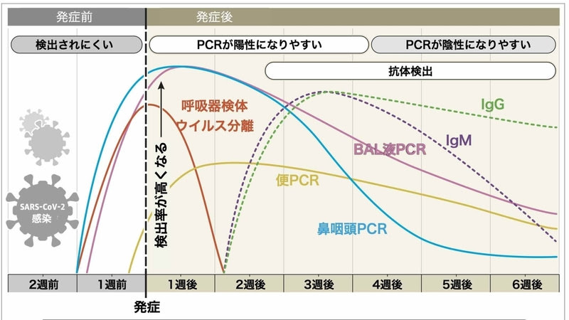 経過グラフ